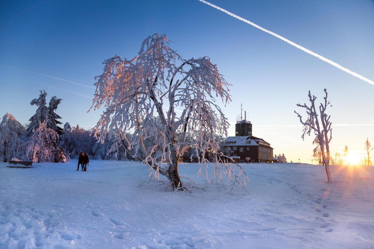 The Suite Winterberg Deluxe - Exklusive Ausstattung, Bestlage Zwischen Skikarussell Und Marktplatz, Eigener Garten, Ski- Und Fahrradraum, Ruhige Suedausrichtung, Wlan, Hundefreundlich Eksteriør billede