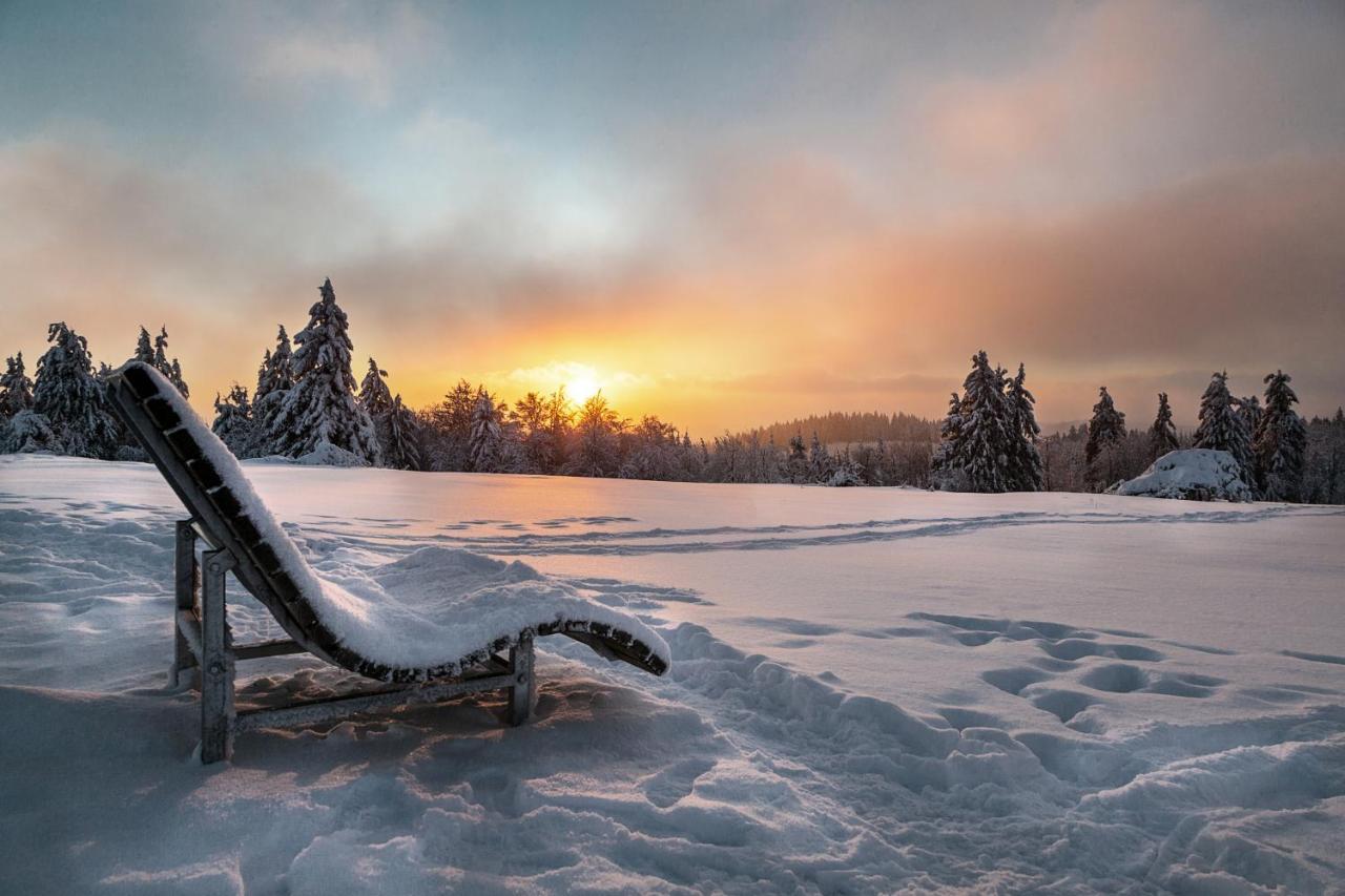 The Suite Winterberg Deluxe - Exklusive Ausstattung, Bestlage Zwischen Skikarussell Und Marktplatz, Eigener Garten, Ski- Und Fahrradraum, Ruhige Suedausrichtung, Wlan, Hundefreundlich Eksteriør billede