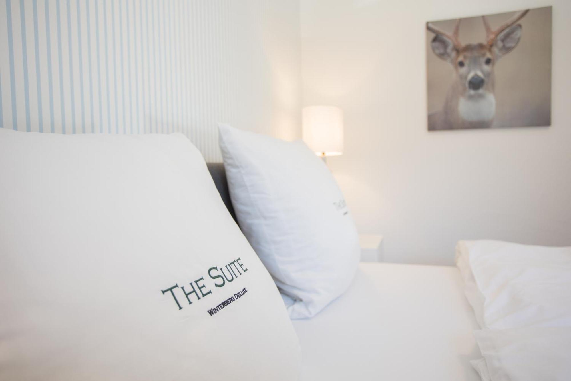 The Suite Winterberg Deluxe - Exklusive Ausstattung, Bestlage Zwischen Skikarussell Und Marktplatz, Eigener Garten, Ski- Und Fahrradraum, Ruhige Suedausrichtung, Wlan, Hundefreundlich Eksteriør billede